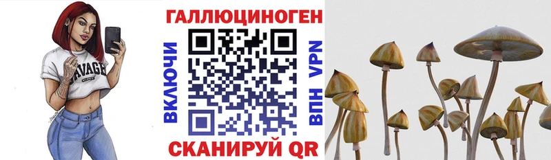 Псилоцибиновые грибы Magic Shrooms  Бородино 